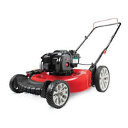View Walk Behind Push Mower with Briggs and Straton Engine image 2