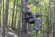 View Climbing Treestands image 3