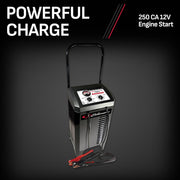 View 250/50/25/10 Amp Manual Wheel Charger with Engine Start image 4
