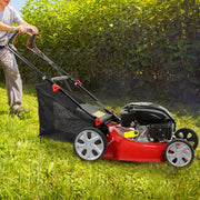 View Self-propelled lawn mower, 141cc four-stroke gasoline engine, lawn mower with 20-inch blades, rear-wheel drive, push-type lawn mower, equipped with a 50-liter hay storage tank, rear wheel diameter 10 inches, rotational speed 2850 revolutions per minu image 4